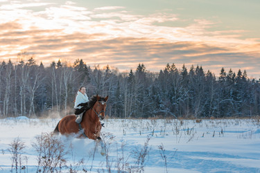 Similar image 21070755