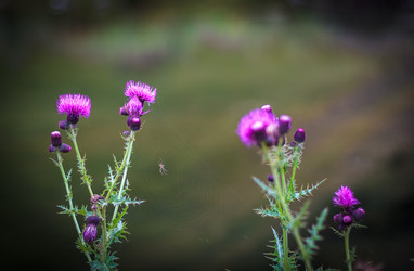 Similar image 21070778