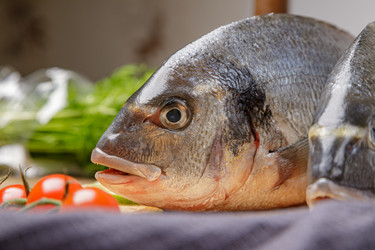 Similar image 21071095