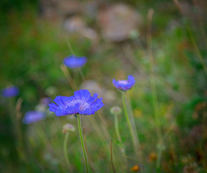 Similar image 21071097