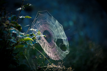 Similar image 21071099