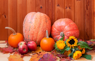 Similar image 21045251