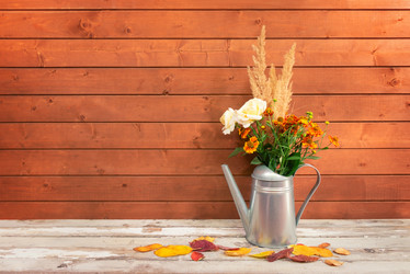 Similar image 21045255