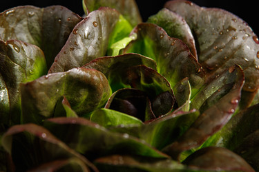 Similar image 21069515