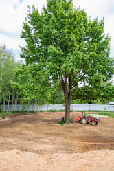 Similar image 21069519