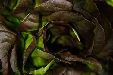 Similar image 21069465