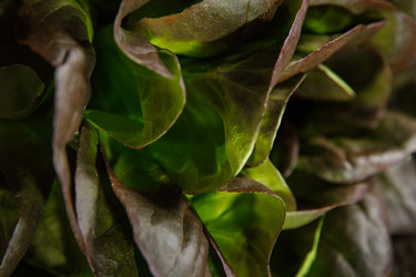 Similar image 21069467