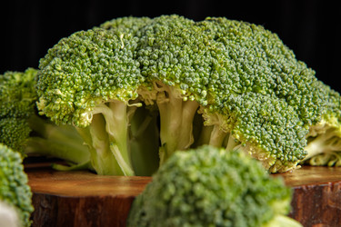 Similar image 21069468