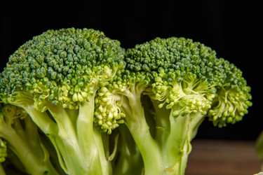 Similar image 21068108