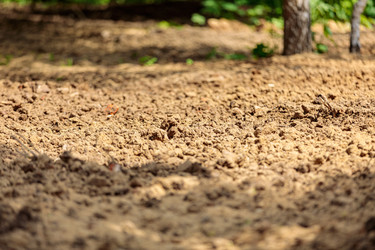 Similar image 21068146