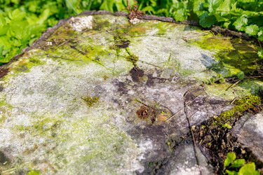 Similar image 21070590