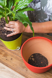 Similar image 21078851