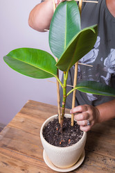 Similar image 21069606