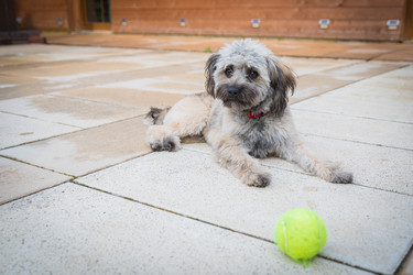 Similar image 21069659