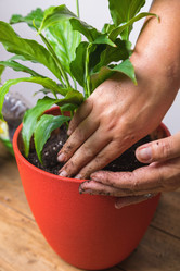 Similar image 21069663