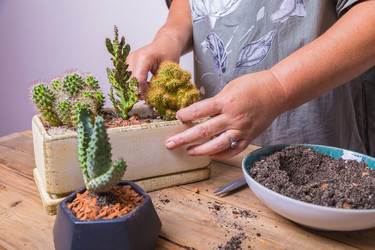 Similar image 21069670