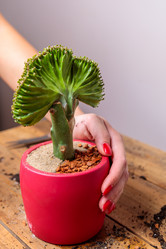 Similar image 21069673