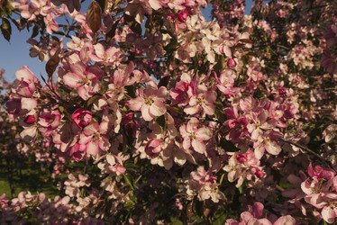 Similar image 21045360