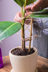 Similar image 21069696