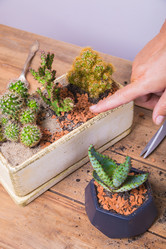 Similar image 21069889