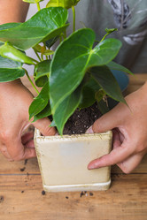 Similar image 21069908