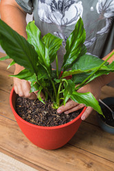 Similar image 21069910