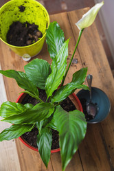 Similar image 21070601