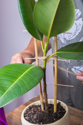 Similar image 21070604