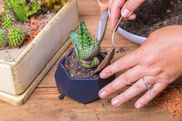 Similar image 21070605