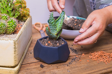 Similar image 21070606