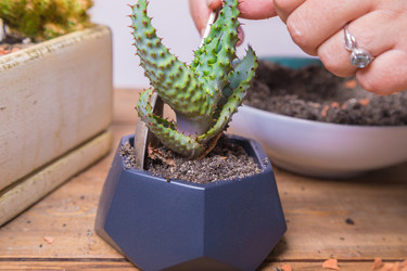 Similar image 21070607