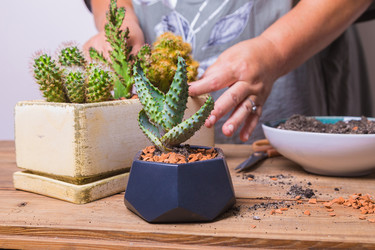 Similar image 21070609