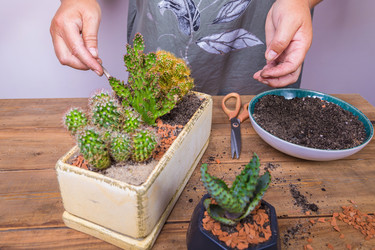 Similar image 21070611