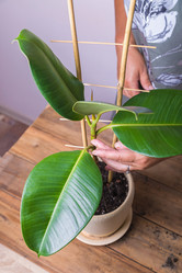 Similar image 21070802