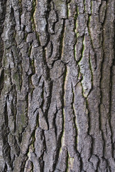 Similar image 21045362