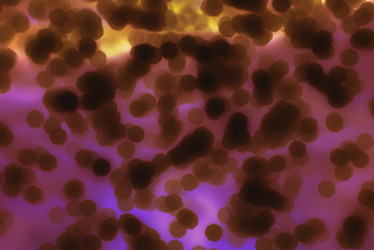 Similar image 21045364