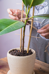 Similar image 21078856