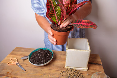 Similar image 21078859