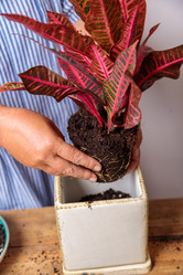 Similar image 21078871