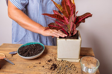 Similar image 21078873