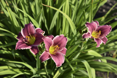 Similar image 21045256