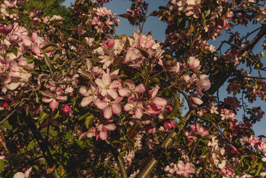 Similar image 21045369