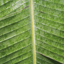 Similar image 21045370