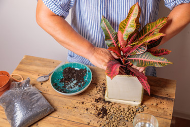 Similar image 21069698