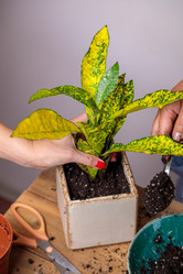 Similar image 21069702