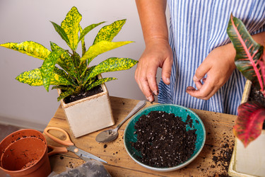 Similar image 21069706