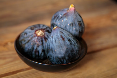 Similar image 21069921