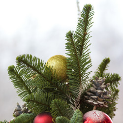 Similar image 21069924