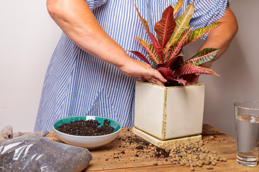 Similar image 21069928