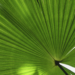 Similar image 21045371